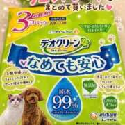 ヒメ日記 2026/07/09 19:03 投稿 石田まい マダム撫子(なでしこ)～麗しの楽園ソープ～