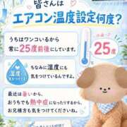 ヒメ日記 2026/07/24 18:01 投稿 石田まい マダム撫子(なでしこ)～麗しの楽園ソープ～
