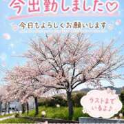 ヒメ日記 2026/07/25 15:21 投稿 石田まい マダム撫子(なでしこ)～麗しの楽園ソープ～
