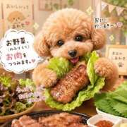 ヒメ日記 2026/07/28 16:21 投稿 石田まい マダム撫子(なでしこ)～麗しの楽園ソープ～