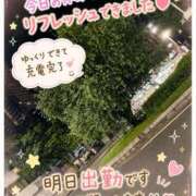 ヒメ日記 2026/08/01 00:01 投稿 石田まい マダム撫子(なでしこ)～麗しの楽園ソープ～