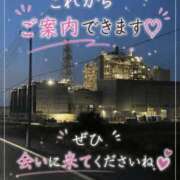 ヒメ日記 2026/08/08 20:51 投稿 石田まい マダム撫子(なでしこ)～麗しの楽園ソープ～
