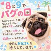 ヒメ日記 2026/08/09 16:01 投稿 石田まい マダム撫子(なでしこ)～麗しの楽園ソープ～