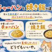 ヒメ日記 2026/08/10 19:51 投稿 石田まい マダム撫子(なでしこ)～麗しの楽園ソープ～
