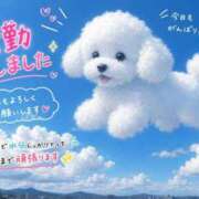ヒメ日記 2026/08/13 15:21 投稿 石田まい マダム撫子(なでしこ)～麗しの楽園ソープ～