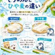 ヒメ日記 2026/08/17 19:51 投稿 石田まい マダム撫子(なでしこ)～麗しの楽園ソープ～