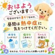 ヒメ日記 2026/08/19 10:31 投稿 石田まい マダム撫子(なでしこ)～麗しの楽園ソープ～