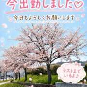 ヒメ日記 2026/08/19 15:11 投稿 石田まい マダム撫子(なでしこ)～麗しの楽園ソープ～
