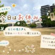 ヒメ日記 2026/08/21 11:03 投稿 石田まい マダム撫子(なでしこ)～麗しの楽園ソープ～