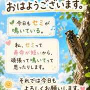 ヒメ日記 2026/08/24 10:31 投稿 石田まい マダム撫子(なでしこ)～麗しの楽園ソープ～
