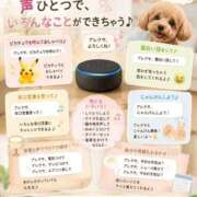 ヒメ日記 2026/08/29 18:21 投稿 石田まい マダム撫子(なでしこ)～麗しの楽園ソープ～