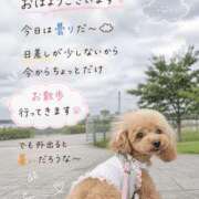 ヒメ日記 2026/09/07 10:41 投稿 石田まい マダム撫子(なでしこ)～麗しの楽園ソープ～