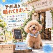 ヒメ日記 2026/09/20 15:21 投稿 石田まい マダム撫子(なでしこ)～麗しの楽園ソープ～