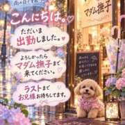 ヒメ日記 2026/09/26 15:21 投稿 石田まい マダム撫子(なでしこ)～麗しの楽園ソープ～