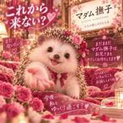 ヒメ日記 2026/09/26 22:51 投稿 石田まい マダム撫子(なでしこ)～麗しの楽園ソープ～