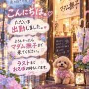 ヒメ日記 2026/09/28 13:02 投稿 石田まい マダム撫子(なでしこ)～麗しの楽園ソープ～