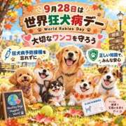 ヒメ日記 2026/09/28 17:41 投稿 石田まい マダム撫子(なでしこ)～麗しの楽園ソープ～
