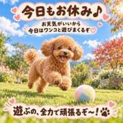 ヒメ日記 2026/10/11 11:01 投稿 石田まい マダム撫子(なでしこ)～麗しの楽園ソープ～