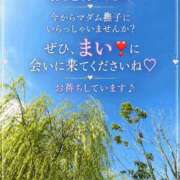 ヒメ日記 2026/10/12 16:05 投稿 石田まい マダム撫子(なでしこ)～麗しの楽園ソープ～