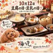 ヒメ日記 2026/10/12 16:31 投稿 石田まい マダム撫子(なでしこ)～麗しの楽園ソープ～