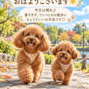 石田まい おはよー❣️ マダム撫子(なでしこ)～麗しの楽園ソープ～