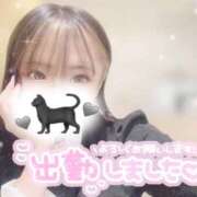 ヒメ日記 2025/01/28 05:55 投稿 おりおん ビギナーズ神戸