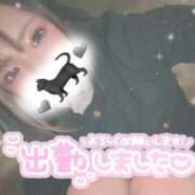 ヒメ日記 2025/02/27 06:00 投稿 おりおん ビギナーズ神戸