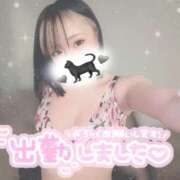 ヒメ日記 2025/03/05 18:10 投稿 おりおん ビギナーズ神戸