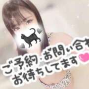 ヒメ日記 2025/04/04 06:07 投稿 おりおん ビギナーズ神戸