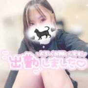 ヒメ日記 2025/05/17 06:04 投稿 おりおん ビギナーズ神戸