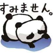 ヒメ日記 2026/07/06 09:51 投稿 椎名くみ マダム撫子(なでしこ)～麗しの楽園ソープ～