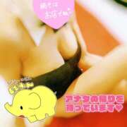 ヒメ日記 2026/06/04 01:41 投稿 天宮あき マダム撫子(なでしこ)～麗しの楽園ソープ～