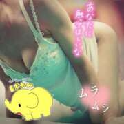 ヒメ日記 2026/06/15 09:41 投稿 天宮あき マダム撫子(なでしこ)～麗しの楽園ソープ～
