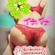 ヒメ日記 2026/06/16 09:31 投稿 天宮あき マダム撫子(なでしこ)～麗しの楽園ソープ～