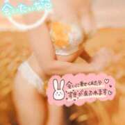 ヒメ日記 2026/06/30 11:51 投稿 天宮あき マダム撫子(なでしこ)～麗しの楽園ソープ～