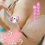 ヒメ日記 2026/08/20 01:31 投稿 天宮あき マダム撫子(なでしこ)～麗しの楽園ソープ～