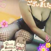 ヒメ日記 2026/09/13 01:41 投稿 天宮あき マダム撫子(なでしこ)～麗しの楽園ソープ～