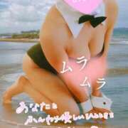 ヒメ日記 2026/09/15 09:31 投稿 天宮あき マダム撫子(なでしこ)～麗しの楽園ソープ～