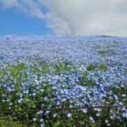 ヒメ日記 2025/05/09 18:20 投稿 ひろ 熟女の風俗最終章 蒲田店