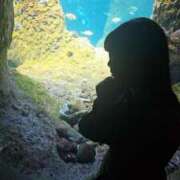 ヒメ日記 2025/05/11 18:20 投稿 ひろ 熟女の風俗最終章 蒲田店