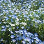 ヒメ日記 2025/05/27 18:20 投稿 ひろ 熟女の風俗最終章 蒲田店