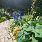 ヒメ日記 2025/06/08 18:39 投稿 ひろ 熟女の風俗最終章 蒲田店