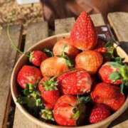 ヒメ日記 2025/07/27 18:20 投稿 ひろ 熟女の風俗最終章 蒲田店