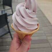 ヒメ日記 2026/03/21 18:29 投稿 ひろ 熟女の風俗最終章 蒲田店