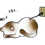 ヒメ日記 2026/06/24 20:41 投稿 都しずか マダム撫子(なでしこ)～麗しの楽園ソープ～