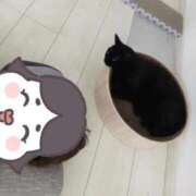 ヒメ日記 2026/07/23 11:05 投稿 都しずか マダム撫子(なでしこ)～麗しの楽園ソープ～