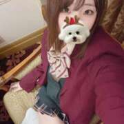 ヒメ日記 2025/12/22 17:44 投稿 いちご E+アイドルスクール船橋店