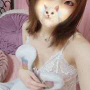 ヒメ日記 2026/04/11 22:35 投稿 いちご E+アイドルスクール船橋店