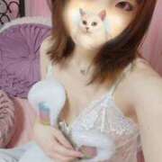 ヒメ日記 2026/04/11 22:48 投稿 いちご E+アイドルスクール船橋店