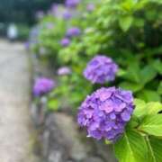 ヒメ日記 2025/06/13 11:24 投稿 あおい 逢って30秒で即尺